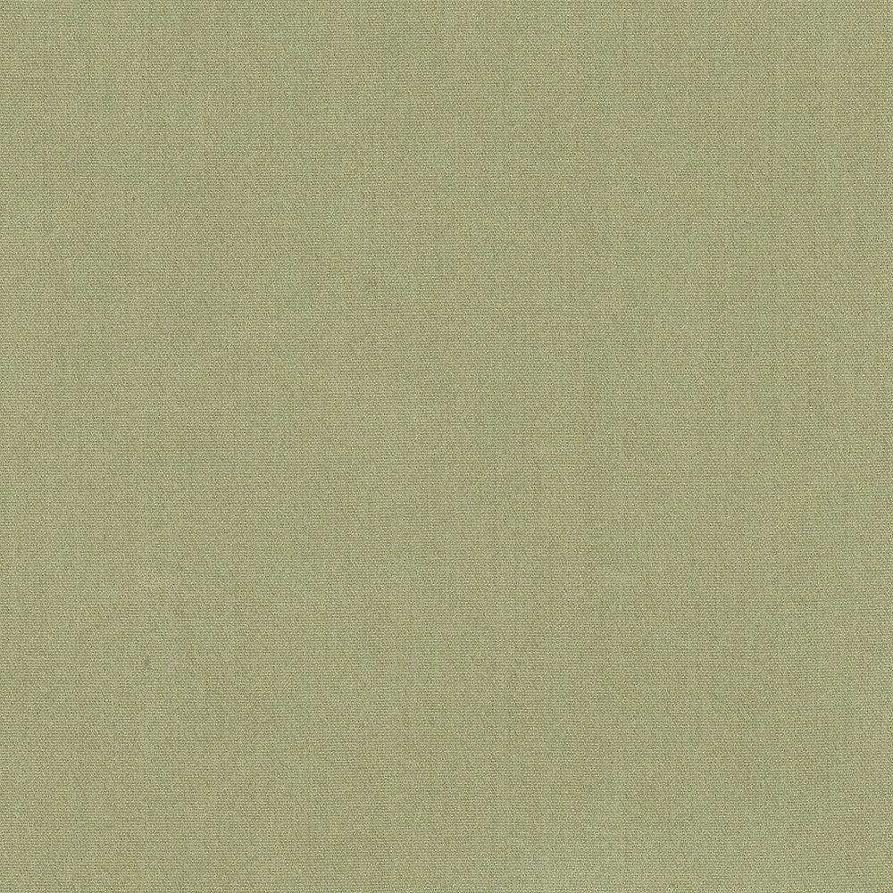 Tempt Moss by Carole Fabric Royale 100% IFR Polyester India Passes 45,000 Double Rubs Wyzenbeek Horizontal: 0 and Vertical: 0 54 - Fabric Carolina -
