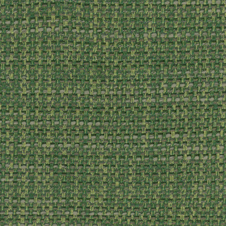 Endurance Rainforest by Carole Designer Fabric Head Start 100% Polyester IFR Hybrid India None 54" - Swanky Fabrics -