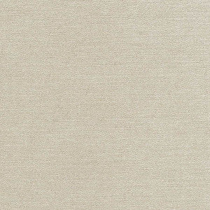Total Dream Pewter by Carole Fabric