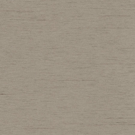 Northwind Fossil by Carole Designer Fabric New Northwind IV 100% Polyester India Passes 9,000 Double Rubs Wyzenbeek Horizontal: None and Vertical: None 54" - Swanky Fabrics -