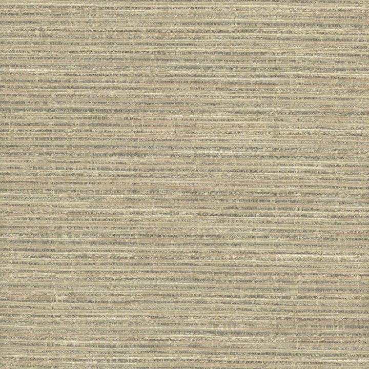 Stacked Cards Raffia by Carole Fabric Stationery 69% Polyester, 31% Viscose India Passes 15,000 Double Rubs Wyzenbeek Horizontal: 0 and Vertical: 0 54 - Fabric Carolina -