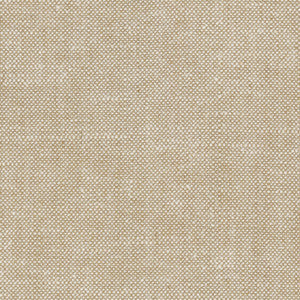 Lasso Natural by Carole Fabric