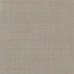 Photo Finish Pewter by Carole Fabric