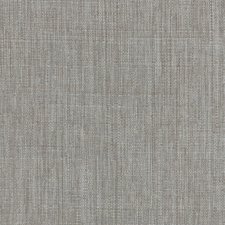Intention Shale by Carole Fabric Head Start 100% Polyester Taiwan 25,000 Wyzenbeek Double Rubs None 54"  - Fabric Carolina -