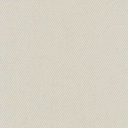 Reminder Cement by Carole Fabric Pewter 100% Cotton USA Passes 18,000 Double Rubs Wyzenbeek Horizontal: None and Vertical: None 55" - Fabric Carolina -