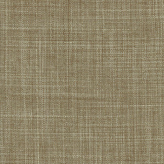 Sightsee Oregano by Carole Fabric Sensibility 100% Polyester China Passes 30,000 Double Rubs Wyzenbeek Horizontal: None and Vertical: NONE 55" - Fabric Carolina -