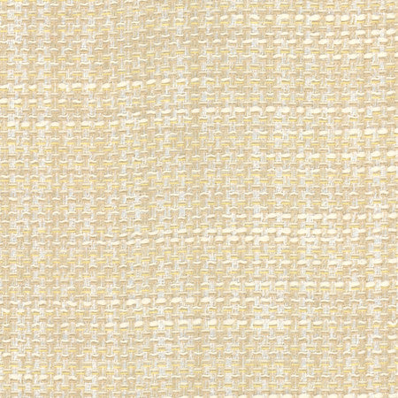 Endurance Sea Salt by Carole Fabric Head Start 100% Polyester IFR Hybrid India 75,000 Wyzenbeek Double Rubs None 54"  - Fabric Carolina -