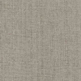 Plush Textures Sterling by Carole Fabric Touchable 98% Polyester, 2% Nylon China N/A Horizontal: None and Vertical: NONE 55" - Fabric Carolina -