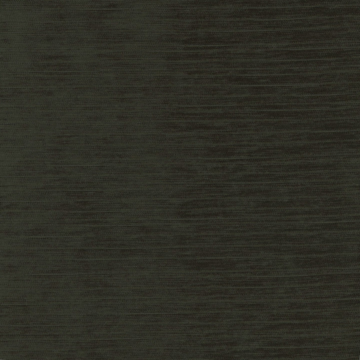 Stay Here Ebony by Carole Fabric Birch 100% Polyester China N/A Horizontal: 0 and Vertical: 0 55 - Fabric Carolina -