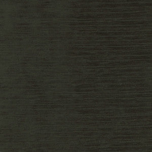 Stay Here Ebony by Carole Fabric