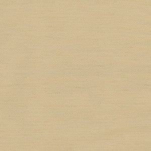 Rumi Camel by Carole Fabric