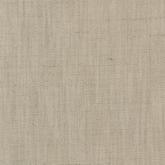 Photo Finish Putty by Carole Fabric High Voltage 100% Polyester India Passes 30,000 Double Rubs Wyzenbeek Horizontal: None and Vertical: None 54" - Fabric Carolina -