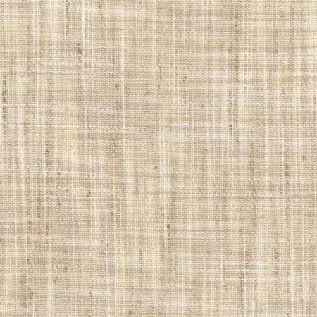 Create Birch by Carole Fabric See It Through 100% Polyester India  None 55"  - Fabric Carolina -