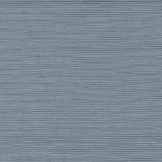 First Novel Celeste by Carole Fabric STATIONERY 72% Rayon, 28% Polyester China Passes 30,000 Double Rubs Wyzenbeek Horizontal: None and Vertical: None 55" - Fabric Carolina -