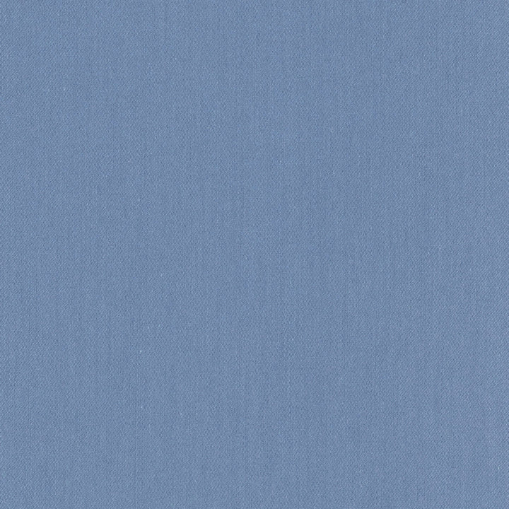 Comfort Coastal by Carole Fabric Daydreaming 100% Cotton India Passes 21,000 Double Rubs Wyzenbeek Horizontal: 0 and Vertical: 0 54 - Fabric Carolina -