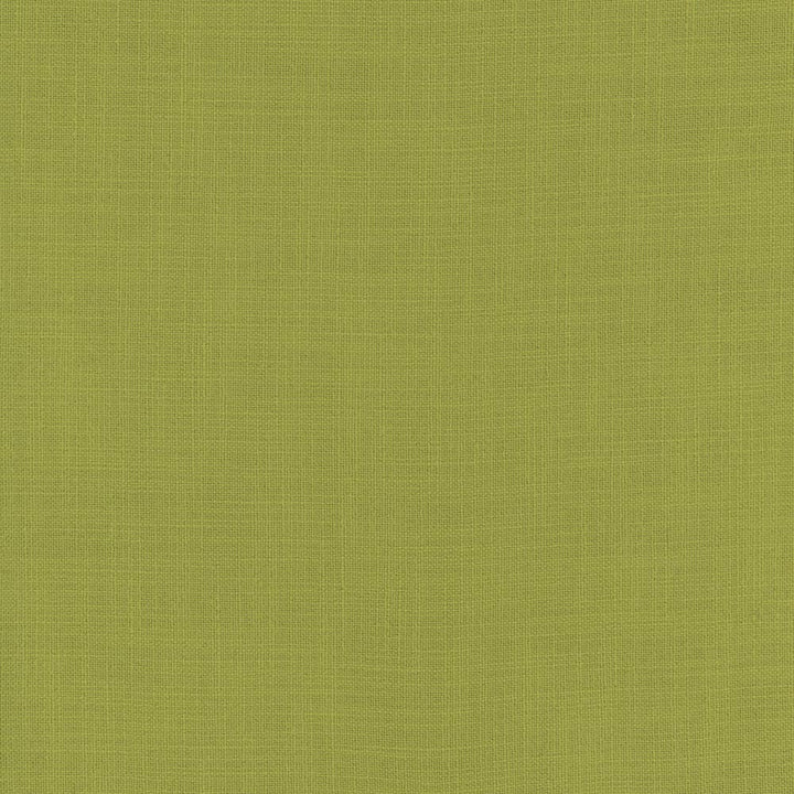 Fundamental Dill by Carole Fabric Fundamental 100% Polyester Turkey Passes 20,000 Double Rubs Wyzenbeek Horizontal: 0 and Vertical: 0 54 - Fabric Carolina -
