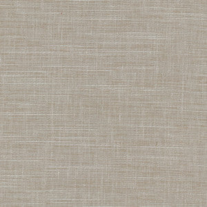 Truth Be Told Pewter by Carole Fabric