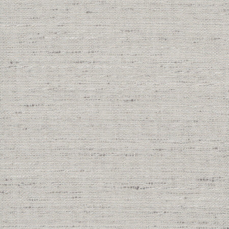 Foreseeable Platinum by Carole Designer Fabric Pewter 100% Polyester India N/A None 54" - Swanky Fabrics -