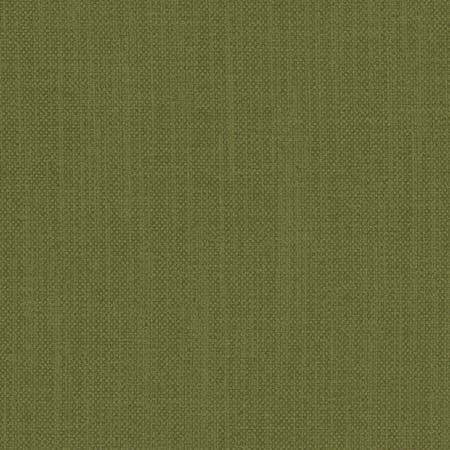 Liberty Forest by Carole Fabric Liberty II 100%  Polyester India  None 54"  - Fabric Carolina -