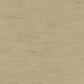 Lydia Mineral by Carole Fabric Lydia,Lydia II 100% Polyester Fr India N/A </p><p>Repeat: None 54" - Fabric Carolina -