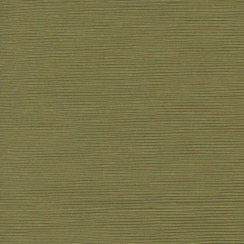 First Novel Spring Green by Carole Fabric Stationery 72% Rayon, 28% Polyester China Passes 30,000 Double Rubs Wyzenbeek Horizontal: 0 and Vertical: 0 55 - Fabric Carolina -
