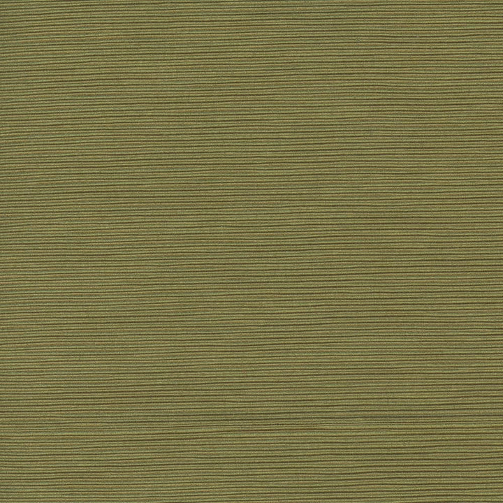First Novel Spring Green by Carole Fabric Stationery 72% Rayon, 28% Polyester China Passes 30,000 Double Rubs Wyzenbeek Horizontal: 0 and Vertical: 0 55 - Fabric Carolina -