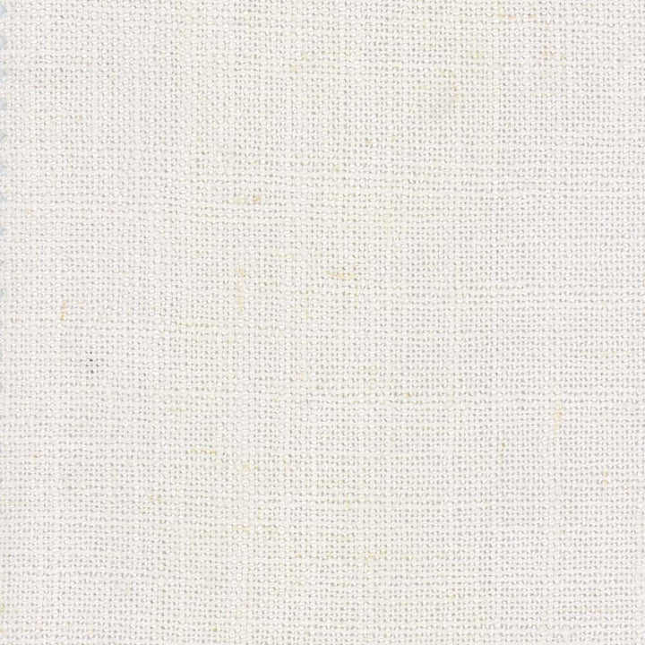 Monitor Cloud by Carole Fabric Sandblasted 95% Polyester, 5% Linen China Passes 15,000 Double Rubs Wyzenbeek Horizontal: 0 and Vertical: 0 55 - Fabric Carolina -