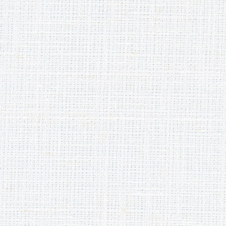 Inner Child Snow by Carole Fabric Opal 66% Polyester, 21% Cotton, 13% Linen India Passes 15,000 Double Rubs Wyzenbeek Horizontal: 0 and Vertical: 0 54 - Fabric Carolina -
