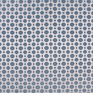 Prized Possession Sky by Carole Fabric