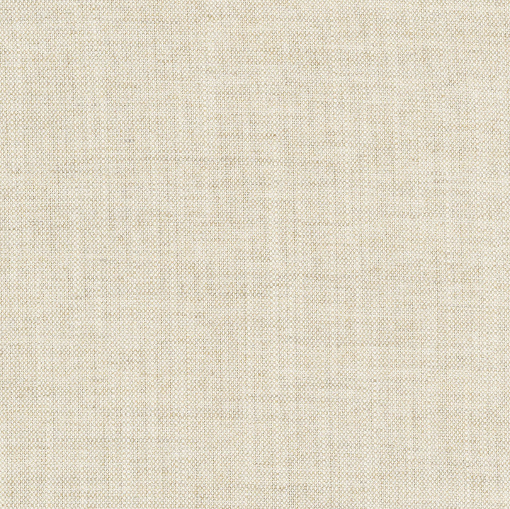 Aerial Flax by Carole Designer Fabric Opal 100% Polyester India Passes 50,000 Double Rubs Wyzenbeek Horizontal: 0 and Vertical: 0 56 - Swanky Fabrics -