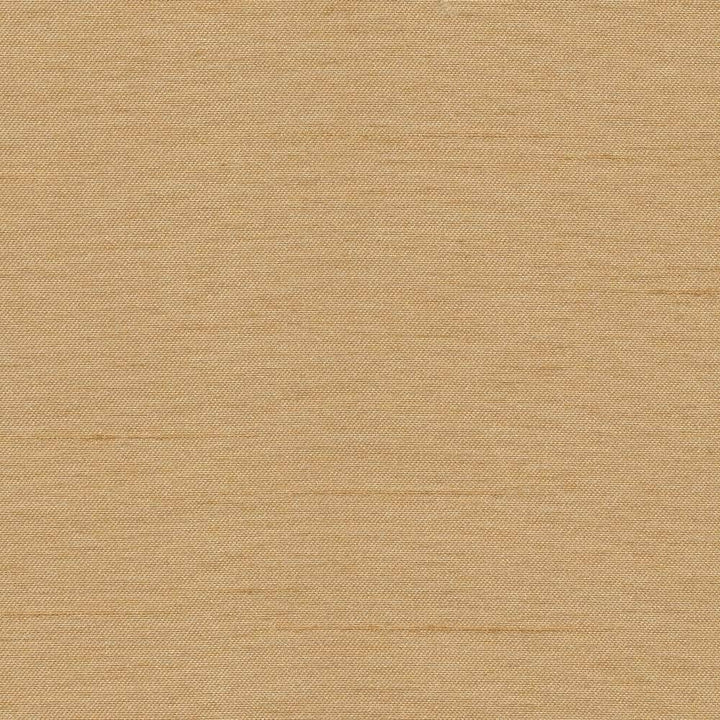 Firenza Antique by Kasmir Fabric 1380 100% Polyester INDIA 9,000 Wyzenbeek Double Rubs H: N/A, V:N/A 54 - 55 - Fabric Carolina - Kasmir