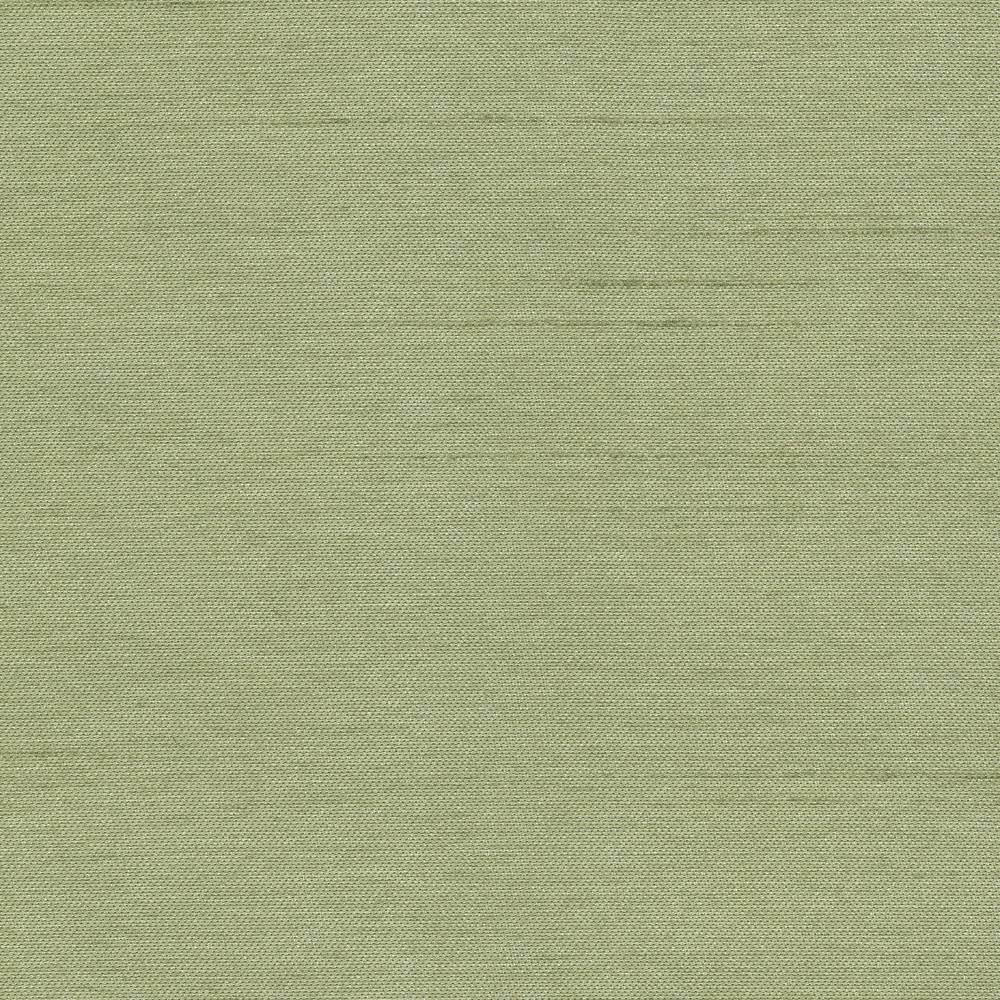 Firenza Basil by Kasmir Fabric 1246 100% Polyester INDIA 9,000 Wyzenbeek Double Rubs H: N/A, V:N/A 54 - 55 - Fabric Carolina - Kasmir