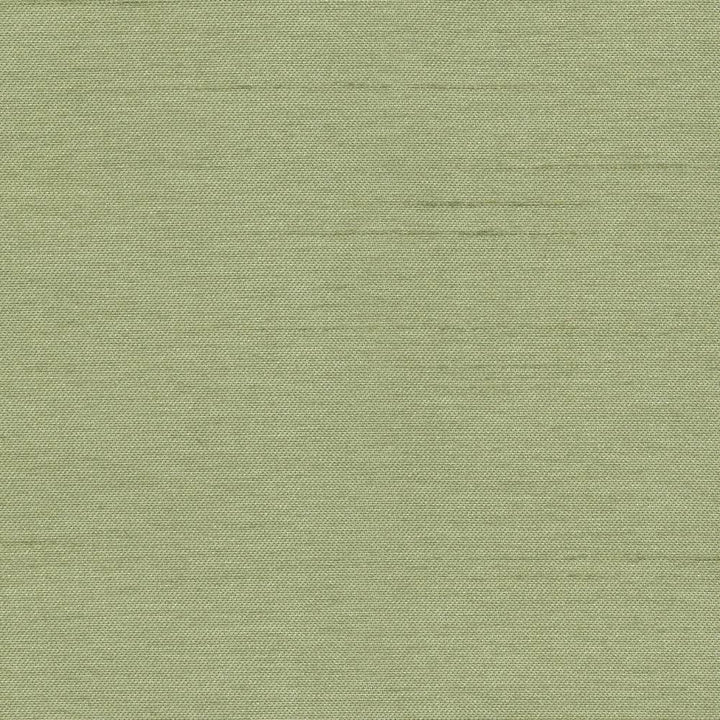 Firenza Basil by Kasmir Fabric 1380 100% Polyester
 INDIA 9,000 Wyzenbeek Double Rubs Horizontal: N/A and Vertical: N/A 54 - Fabric Carolina -