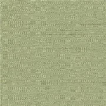 Firenza Basil by Kasmir Fabric 1380 100% Polyester INDIA 9,000 Wyzenbeek Double Rubs H: N/A, V: N/A 54 - 55 - Fabric Carolina - Kasmir