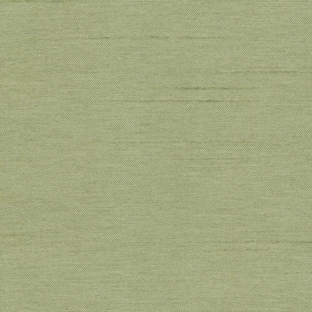 Firenza Basil by Kasmir Fabric 1380 100% Polyester
 INDIA </p><p>Repeat: Horizontal: N/A and Vertical: N/A 54 - 55 - Fabric Carolina -