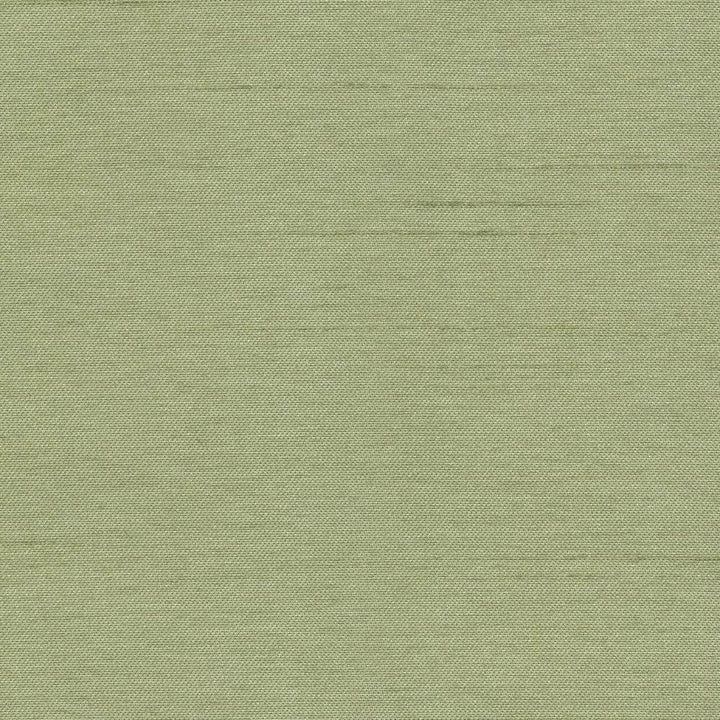 Firenza Basil by Kasmir Fabric 1380 100% Polyester INDIA 9,000 Wyzenbeek Double Rubs H: N/A, V:N/A 54 - 55 - Fabric Carolina - Kasmir
