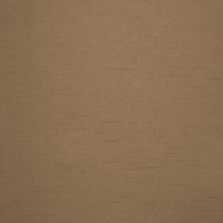 Firenza Beaver by Kasmir Fabric 5152 100% Polyester
 INDIA </p><p>Repeat: Horizontal: N/A and Vertical: N/A 54 - 55 - Fabric Carolina -