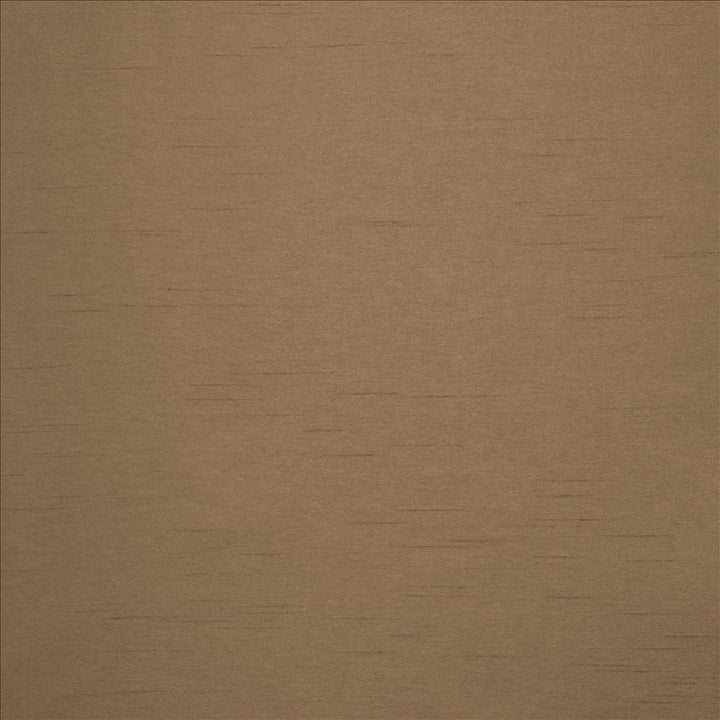 Firenza Beaver by Kasmir Fabric 5152 100% Polyester
 INDIA 9,000 Wyzenbeek Double Rubs Horizontal: N/A and Vertical: N/A 54 - Fabric Carolina -