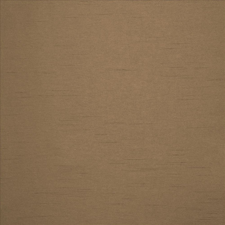 Firenza Beaver by Kasmir Fabric 5152 100% Polyester
 INDIA </p><p>Repeat: Horizontal: N/A and Vertical: N/A 54 - 55 - Fabric Carolina -