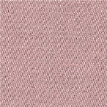 Firenza Blossom by Kasmir Fabric 1380 100% Polyester INDIA 9,000 Wyzenbeek Double Rubs H: N/A, V: N/A 54 - 55 - Fabric Carolina - Kasmir
