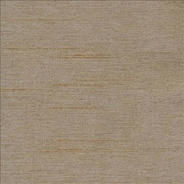 Firenza Brass by Kasmir Fabric 1380 100% Polyester INDIA 9,000 Wyzenbeek Double Rubs H: N/A, V: N/A 54 - 55 - Fabric Carolina - Kasmir