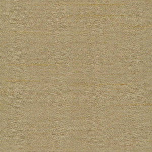 Firenza Bronze by Kasmir Fabric