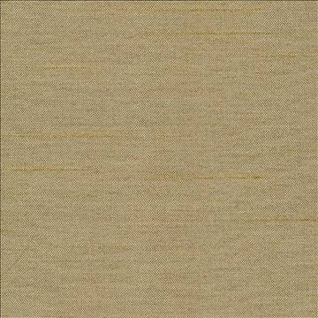 Firenza Bronze by Kasmir Fabric 1380 100% Polyester INDIA 9,000 Wyzenbeek Double Rubs H: N/A, V: N/A 54 - 55 - Fabric Carolina - Kasmir