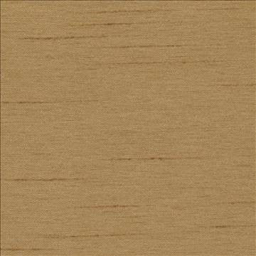 Firenza Brush by Kasmir Fabric 1246 100% Polyester INDIA 9,000 Wyzenbeek Double Rubs H: N/A, V: N/A 54 - 55 - Fabric Carolina - Kasmir