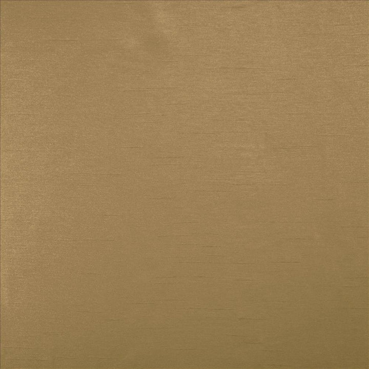 Firenza Brush by Kasmir Fabric 5152 100% Polyester
 INDIA </p><p>Repeat: Horizontal: N/A and Vertical: N/A 54 - 55 - Fabric Carolina -