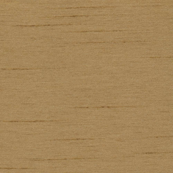 Firenza Brush by Kasmir Fabric 1246 100% Polyester INDIA 9,000 Wyzenbeek Double Rubs H: N/A, V:N/A 54 - 55 - Fabric Carolina - Kasmir