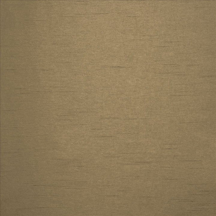 Firenza Camelback by Kasmir Fabric 5152 100% Polyester
 INDIA </p><p>Repeat: Horizontal: N/A and Vertical: N/A 54 - 55 - Fabric Carolina -