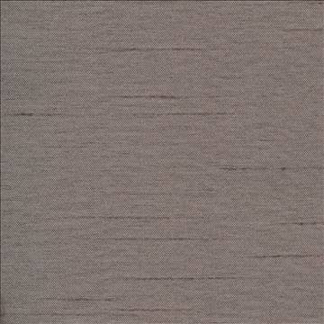 Firenza Charcoal by Kasmir Fabric 1246 100% Polyester INDIA 9,000 Wyzenbeek Double Rubs H: N/A, V: N/A 54 - 55 - Fabric Carolina - Kasmir