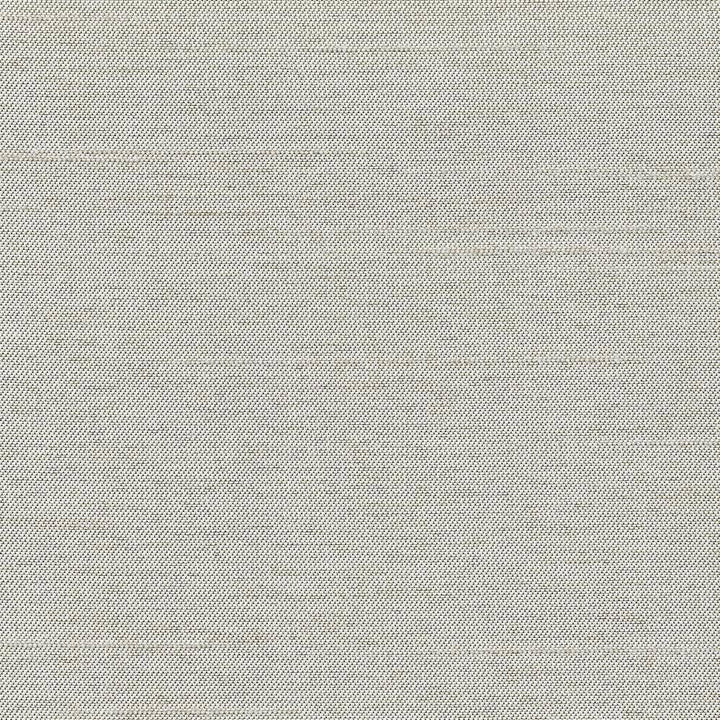 Firenza Cloud by Kasmir Fabric 1380 100% Polyester INDIA 9,000 Wyzenbeek Double Rubs H: N/A, V:N/A 54 - 55 - Fabric Carolina - Kasmir