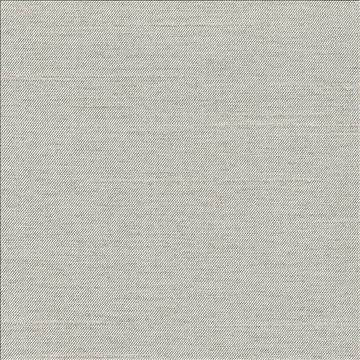 Firenza Cloud by Kasmir Fabric 1380 100% Polyester INDIA 9,000 Wyzenbeek Double Rubs H: N/A, V: N/A 54 - 55 - Fabric Carolina - Kasmir
